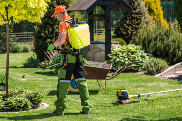 Best Outdoor Pest Control  in Gearhart, OR